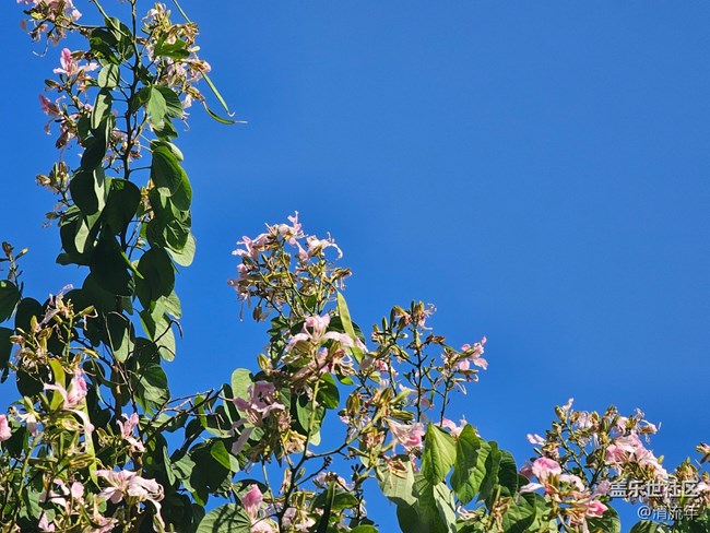【全镜影像】好天气