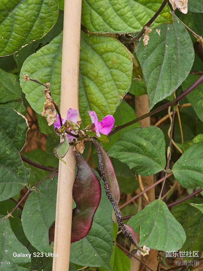 【鹏城寻冬记】11月