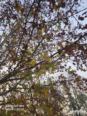 色彩对话 路上随拍