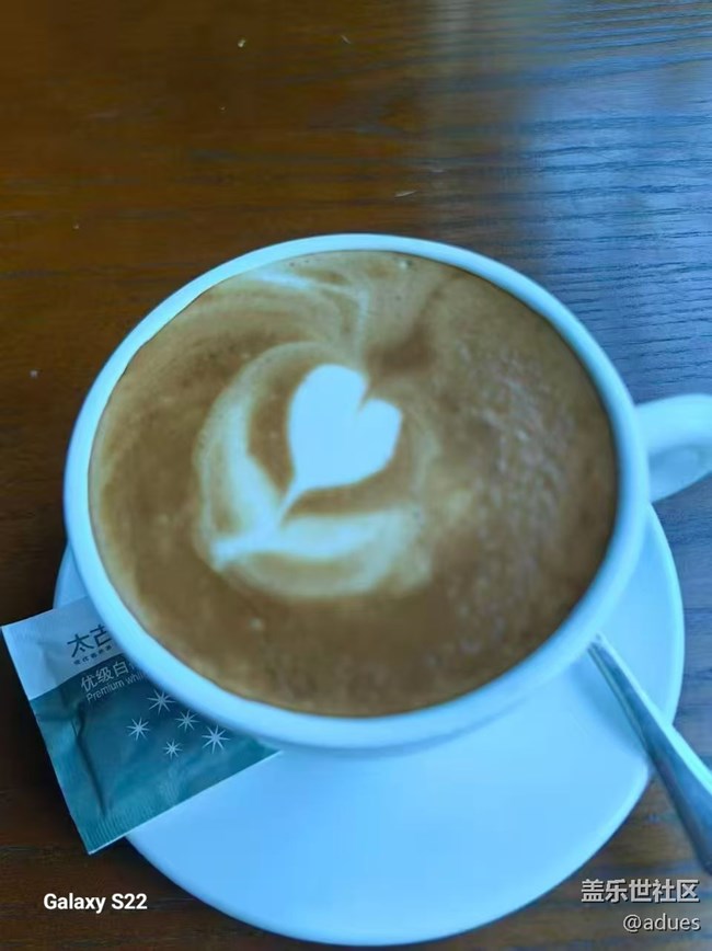 【鹏城寻冬记】午后时光