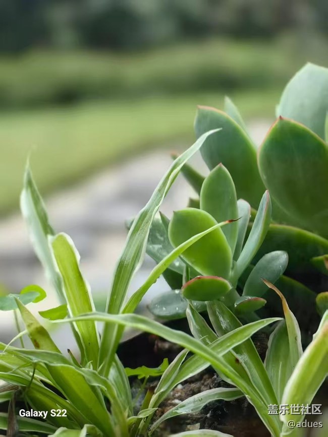 【鹏城寻冬记】午后时光