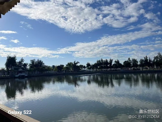 【鹏城寻冬记】风景这边独好