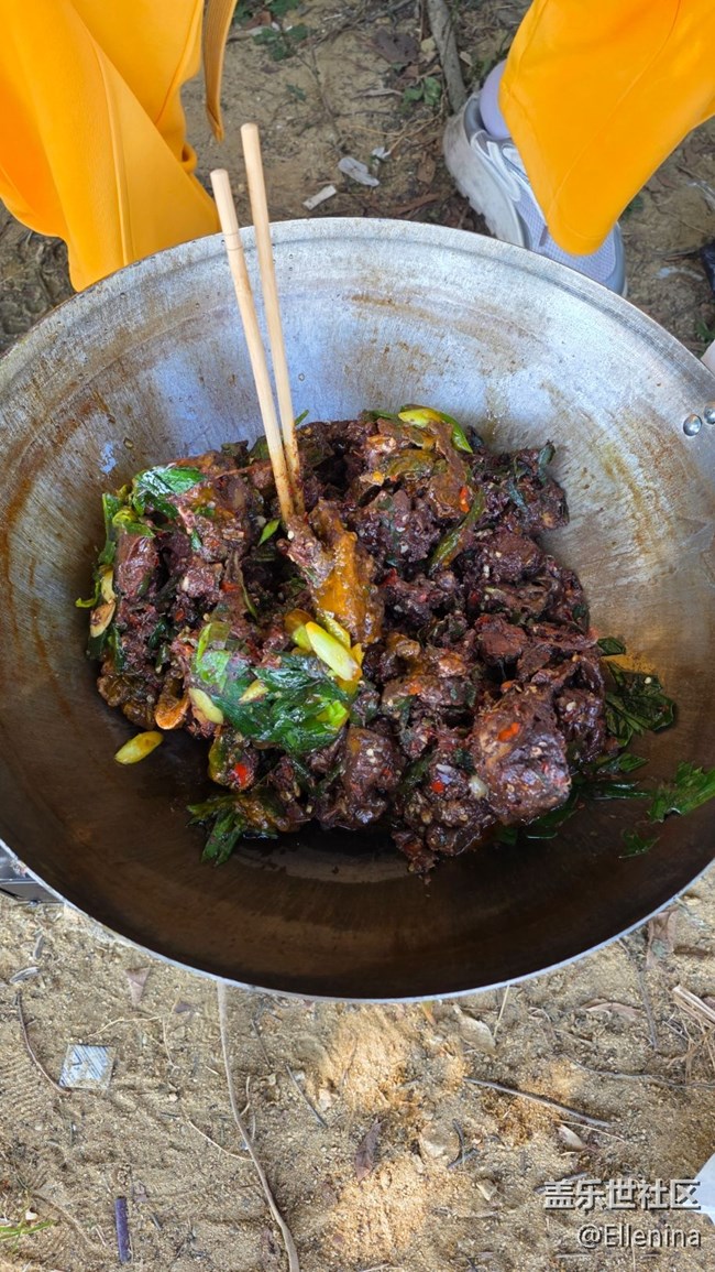 【活动回顾】周日松山湖S25E品鉴+野餐活动