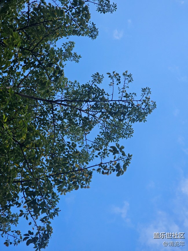 【全镜影像】好天气