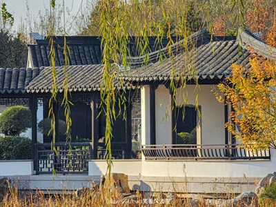 GalaxyS23Ultra  园林深秋（一）