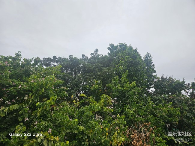 【鹏城寻冬记】11月