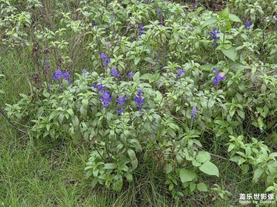 【色彩对话】+户外色彩