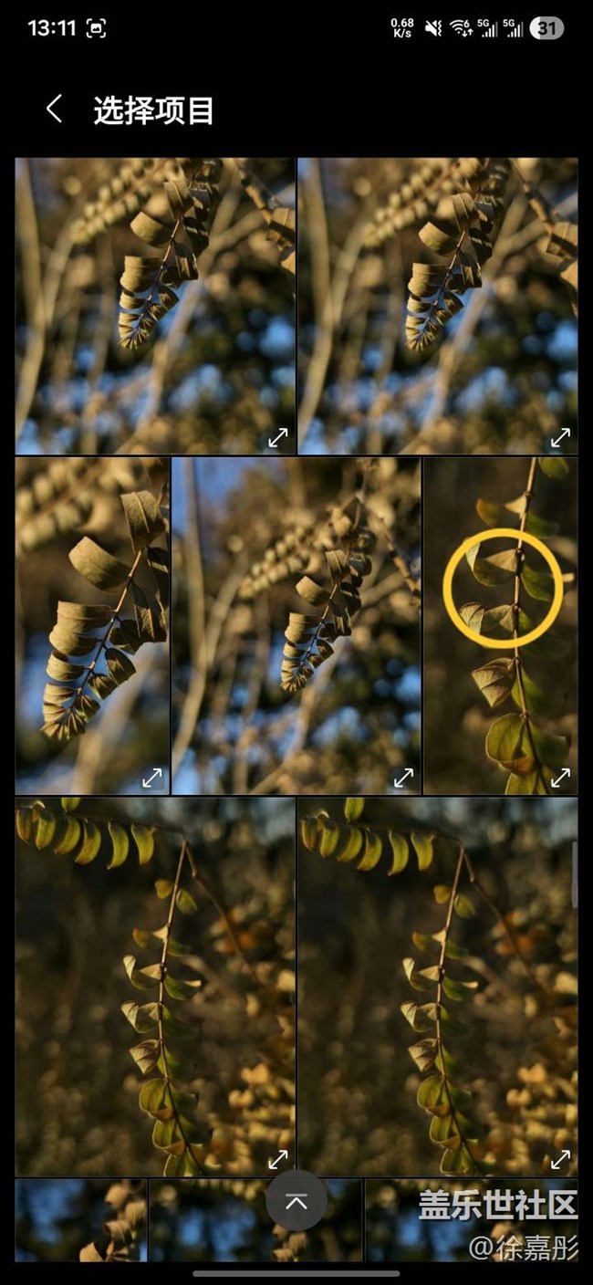 【仙境】~创造独一无二的壁纸