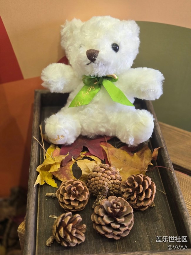 【叶落成诗】红叶松果