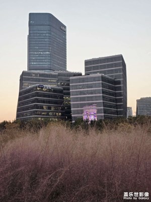 江烟草色共秋夕