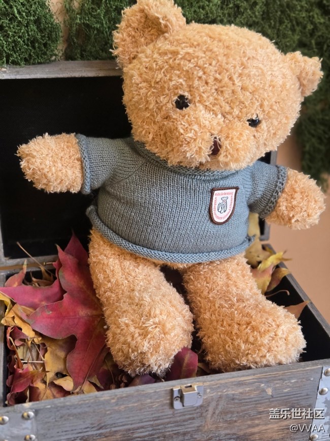 【叶落成诗】红叶松果