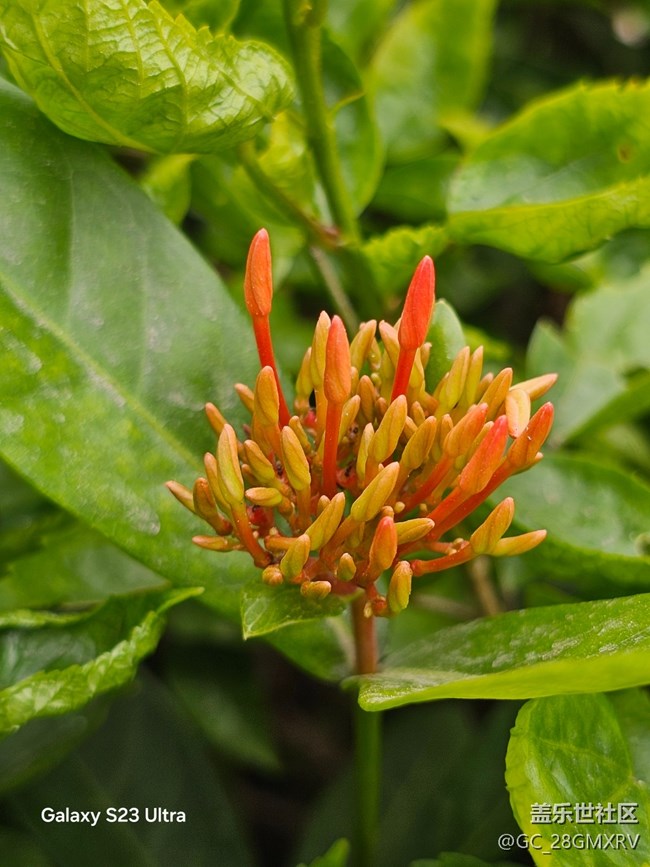 【鹏城寻冬记】路上风景