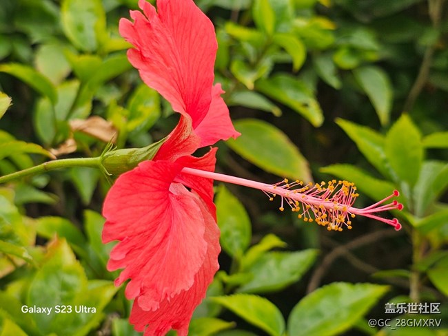 【鹏城寻冬记】路上风景
