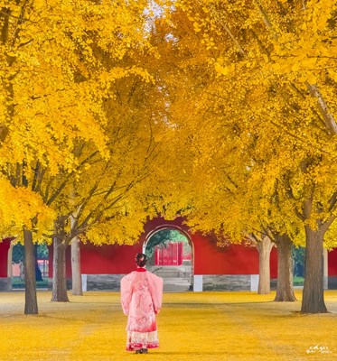 Galaxy S23 Ultra 走进秋天（三）