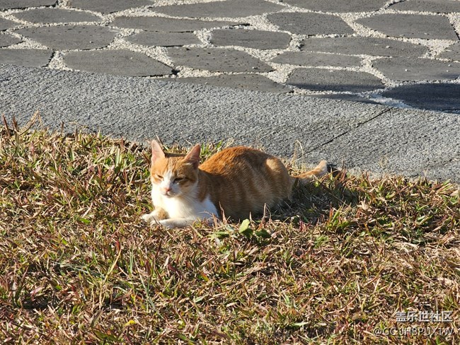 【寻找生活中的温暖】温暖时刻