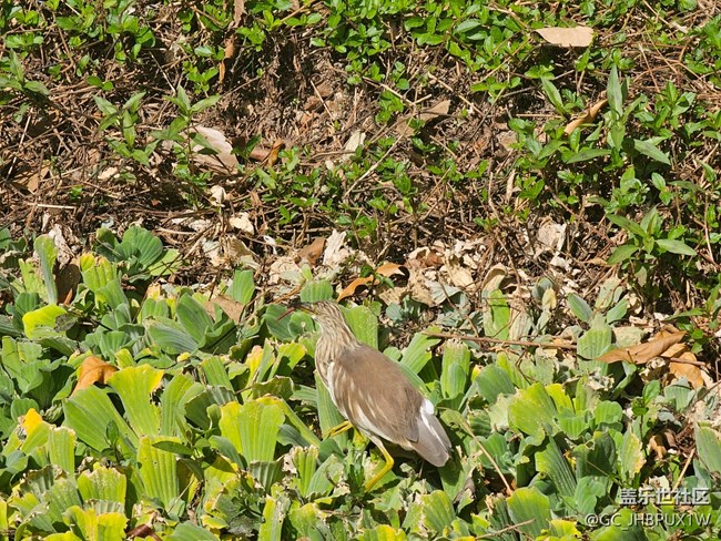 【寻找生活中的温暖】温暖时刻