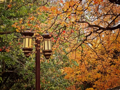 已开奖【摄影版块十二月第一周】初冬限定帧