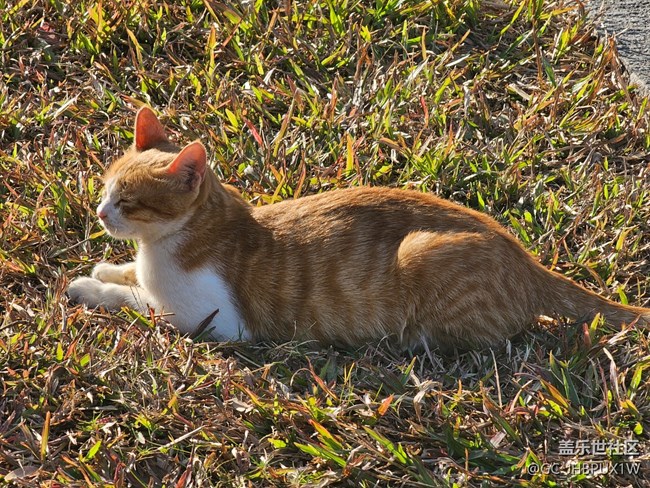 【寻找生活中的温暖】温暖时刻