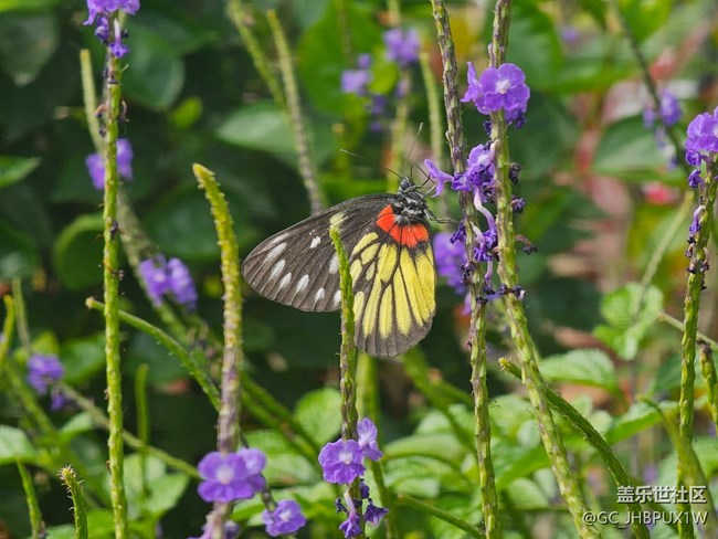 【寻找生活中的温暖】温暖时刻