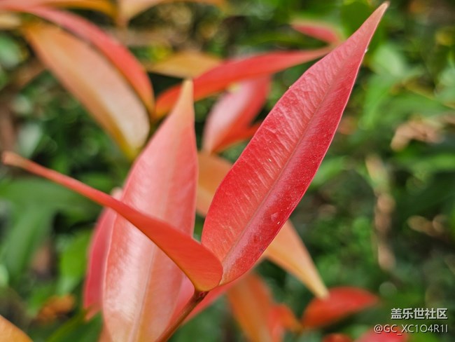 【寻找生活中的温暖】温暖的下午