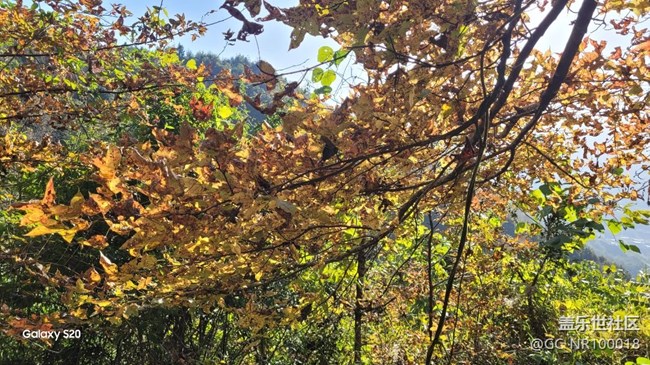 【鹏城寻冬记】收获秋天