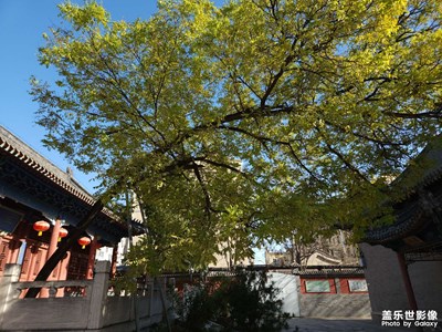 【拍有意境】+关岳行宫