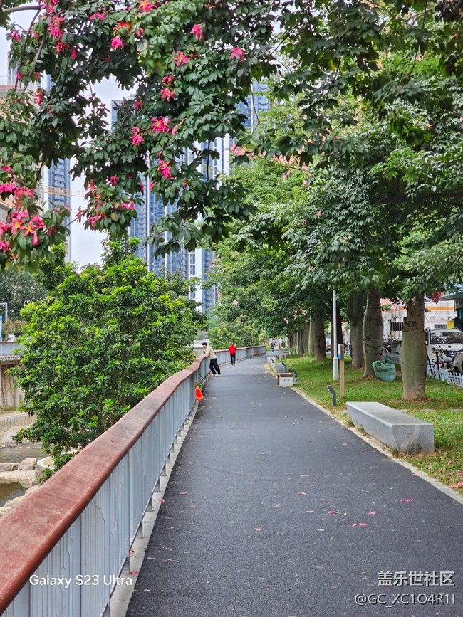 【鹏城寻冬记】寻冬