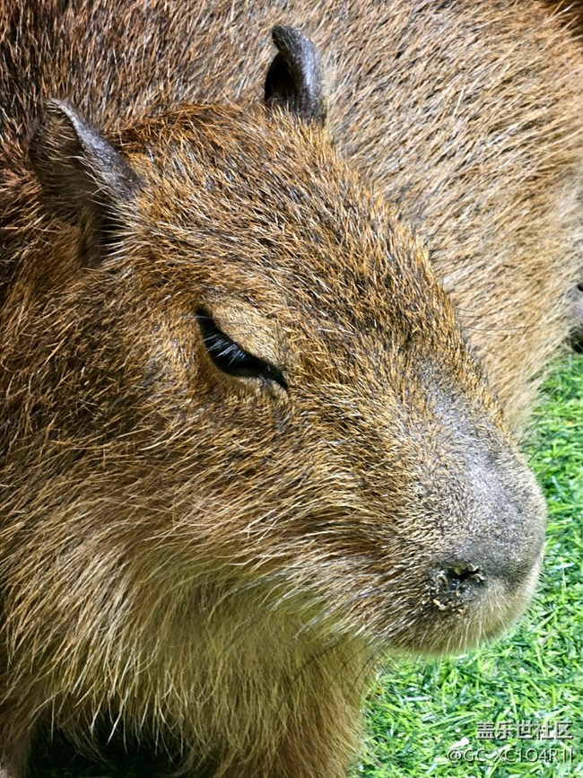 【寻找生活中的温暖】温暖的下午