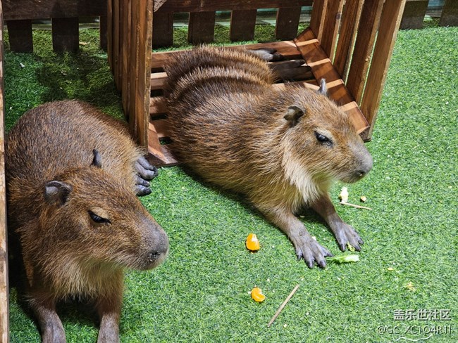【寻找生活中的温暖】温暖的下午