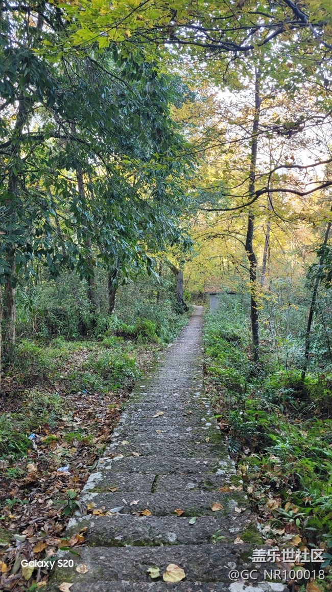 【鹏城寻冬记】收获秋天