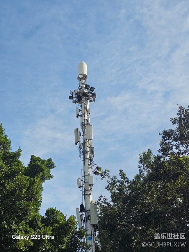 【鹏城寻冬记】11月的时光