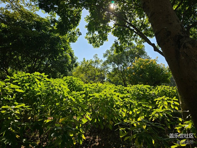 【简而美】平淡