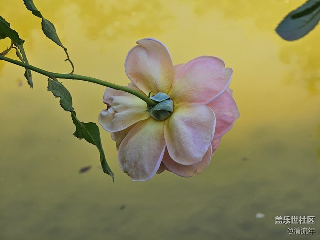 【寻找生活中的温暖】温暖瞬间