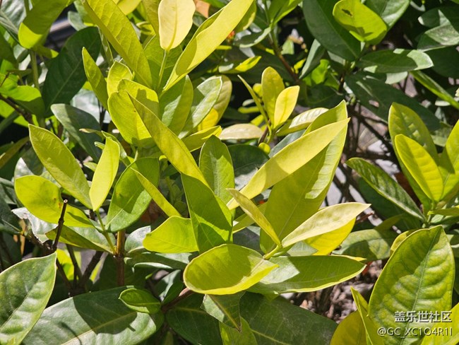 【简而美】生活痕迹