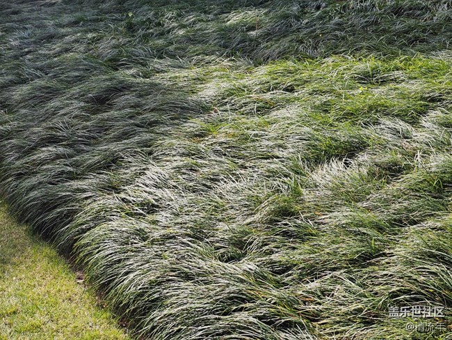 【落叶成诗】公园