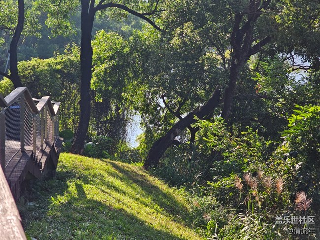 【简而美】简单的一天