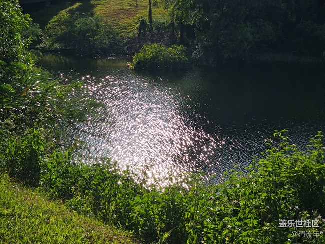 【简而美】水中美