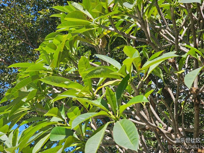 【简而美】上午户外游