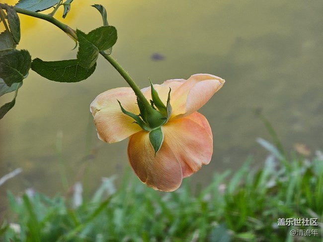 【寻找生活中的温暖】温暖瞬间