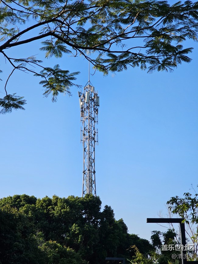 【简而美】简单的一天