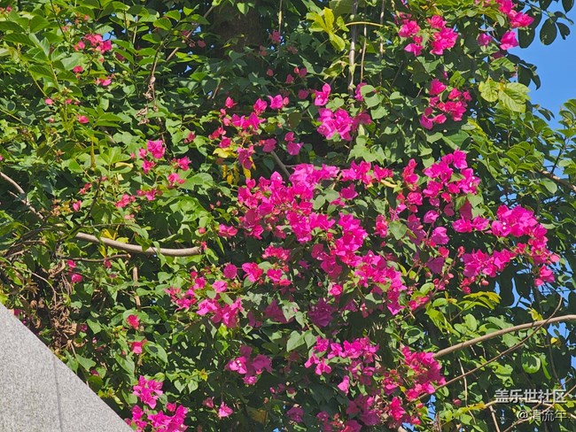 【简而美】平淡