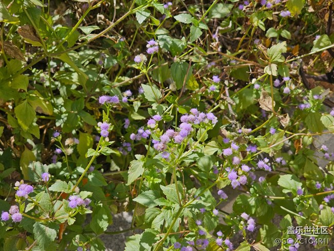 【简而美】上午户外游