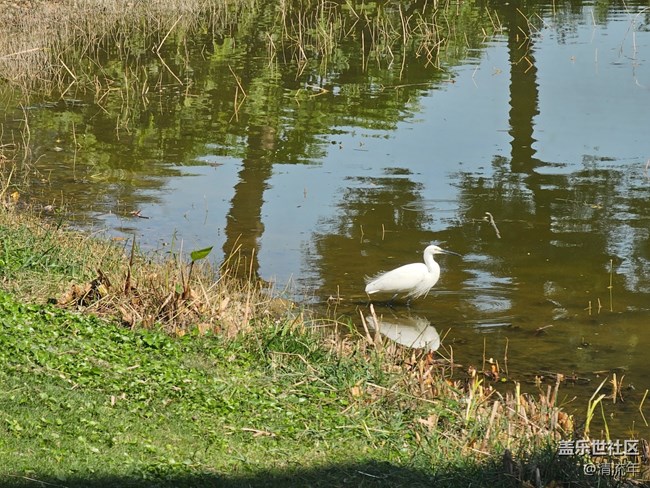 【寻找生活中的温暖】温暖瞬间