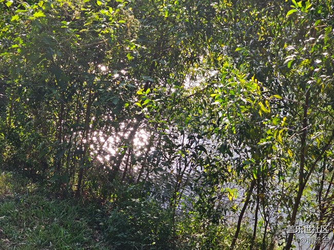 【简而美】水中美