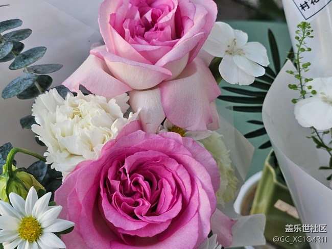 【简而美】花朵