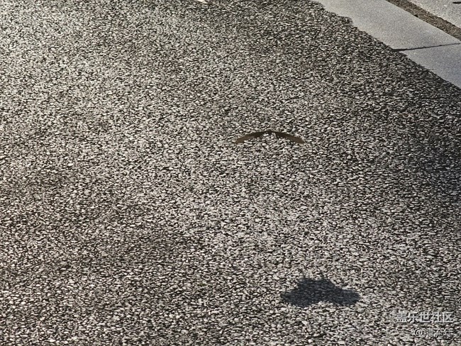 【简而美】简单的一天