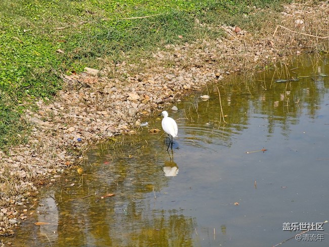 【寻找生活中的温暖】温暖瞬间