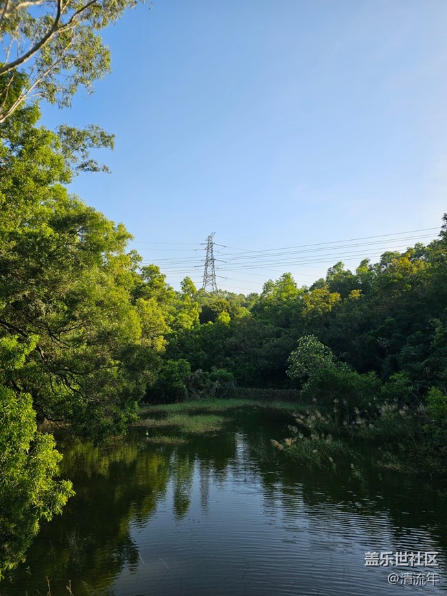 【简而美】水中美