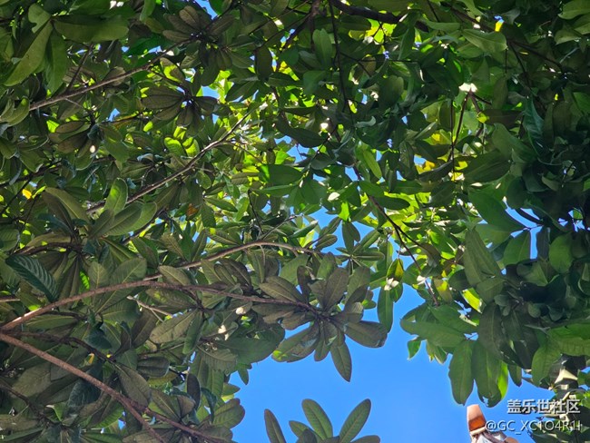 【简而美】生活痕迹