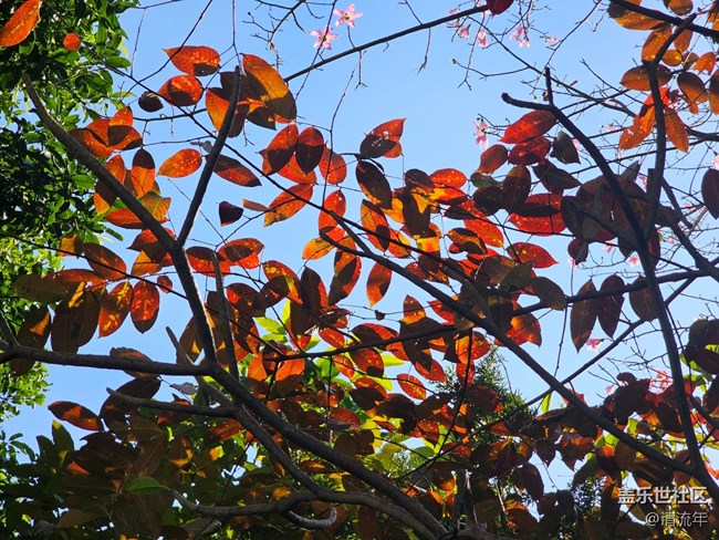 【光影里的故事】光影故事